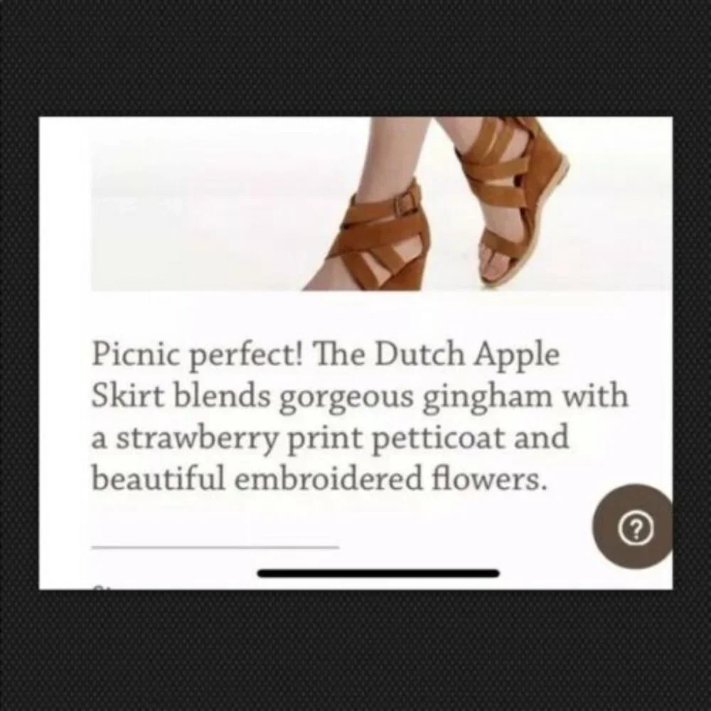 Matilda Jane DUTCH APPLE Skirt Blue Embroidere NWT‎